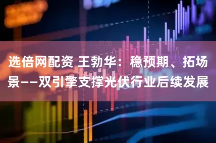 选倍网配资 王勃华：稳预期、拓场景——双引擎支撑光伏行业后续发展