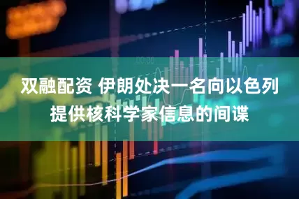 双融配资 伊朗处决一名向以色列提供核科学家信息的间谍