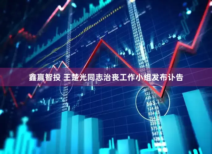 鑫赢智投 王楚光同志治丧工作小组发布讣告